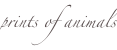 shapeimage_10_link_0