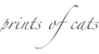 shapeimage_11_link_0