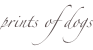shapeimage_12_link_0