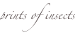 shapeimage_15_link_0