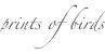 shapeimage_8_link_0